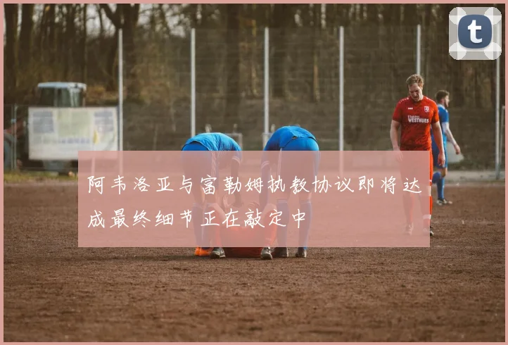 阿韦洛亚与富勒姆执教协议即将达成最终细节正在敲定中